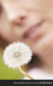Close-up of a dandelion flower with a woman in the background