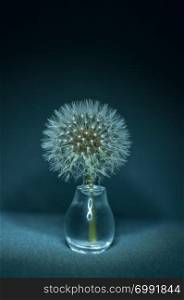 Close-up of a dandelion in a small glass vase