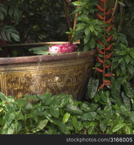 Close-up of a decorative urn in a garden