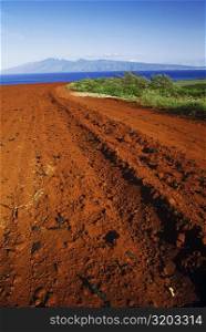 Close-up of a dirt road, Hawaii, USA