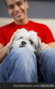 Close-up of a dog lying on a young man&acute;s thigh