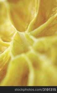 Close-up of a dried slice of lemon