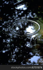 Close-up of a drop falling on the surface of water