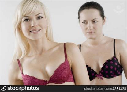 Close-up of a female homosexual couple