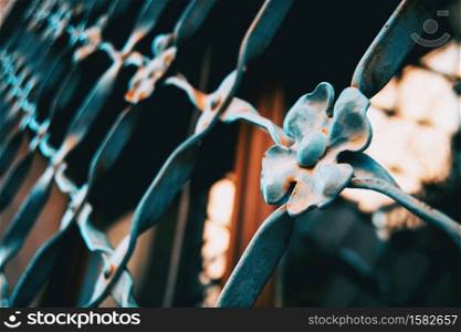 Close-up of a fence of a window with flowers made with forge