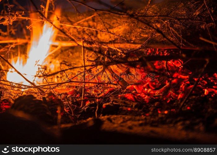 Close up of a fire with twigs.