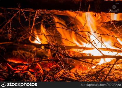 Close up of a fire with twigs.