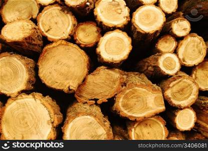 close-up of a fire wood pile waiting for winter