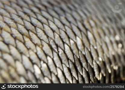 Close-up of a fishing net