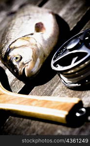 Close-up of a fishing reel and a fishing rod with a fish