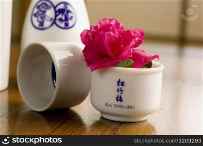 Close-up of a flower in a cup