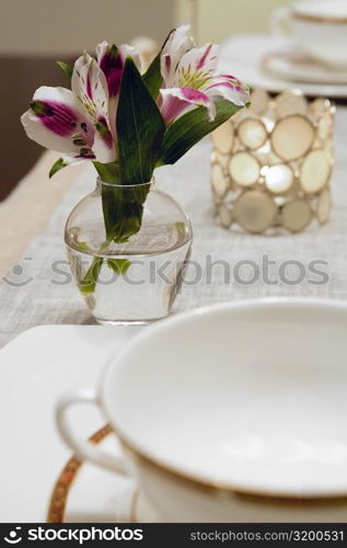Close-up of a flower vase on a dining table