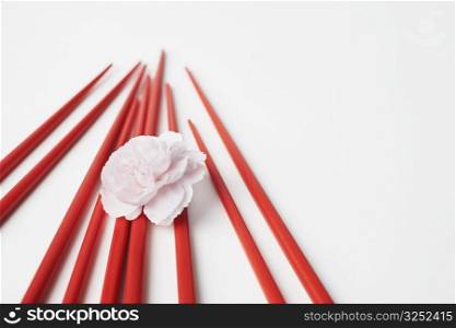 Close-up of a flower with a pair of chopsticks