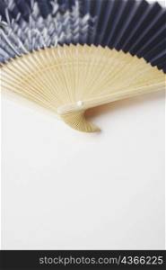 Close-up of a folding fan