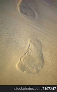 Close-up of a footprint in the sand