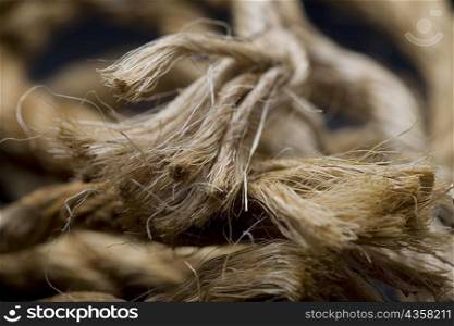 Close-up of a frayed rope