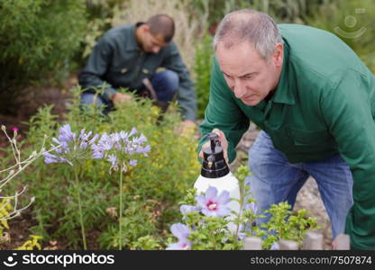 close up of a gardener spraying organic chemical