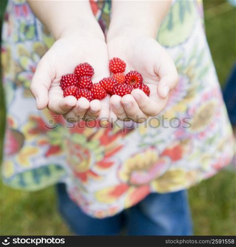 Close-up of a girl&acute;s hands holding raspberries