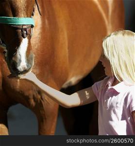 Close-up of a girl feeding a horse