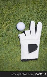 Close-up of a golf ball near a golf glove