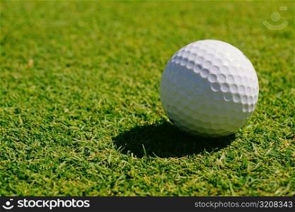 Close-up of a golf ball on a golf course