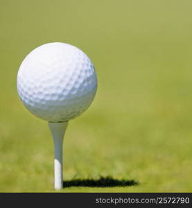 Close-up of a golf ball on a tee