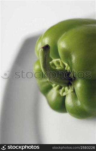 Close-up of a green bell pepper