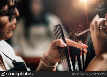 Close-up of a hairdresser cutting woman’s hair.. Cutting Hair in Beauty Salon