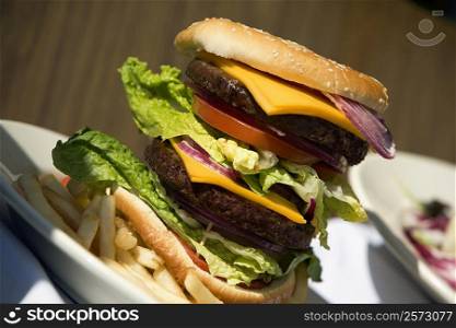 Close-up of a hamburger and French fries