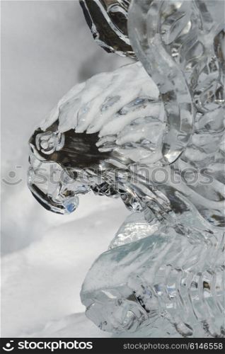 Close-up of a Hawk ice sculpture, Lake Louise, Alberta, Canada