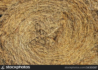 Close-up of a haystack. Haystack