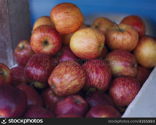 Close-up of a heap of apples in a fruit carton, Providencia, Providencia y Santa Catalina, San Andres y Providencia Department, Colombia