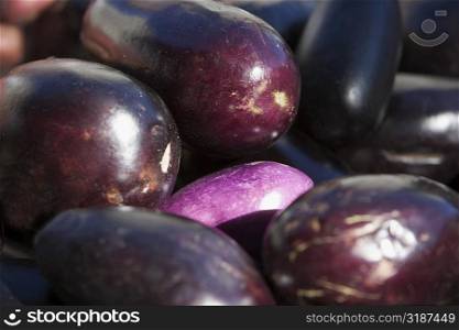 Close-up of a heap of eggplants
