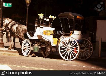 Close-up of a horse drawn carriage on the road
