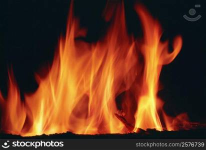 Close-up of a log fire