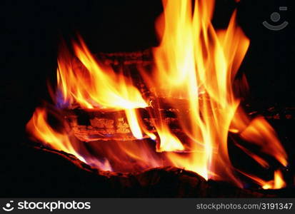 Close-up of a log fire