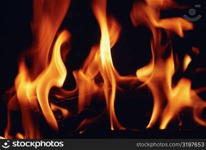 Close-up of a log fire