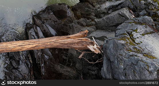 Close-up of a log on rocks, Nairn Falls Provincial Park, British Columbia, Canada