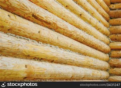 Close-up of a log wall. Log wall