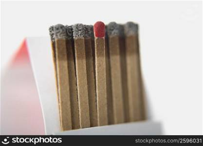 Close-up of a matchstick with burnt match sticks
