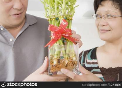 Close-up of a mature couple holding bamboo shoots