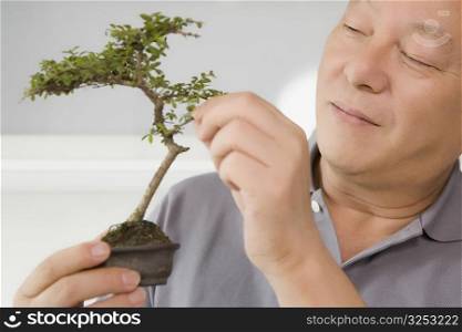 Close-up of a mature man holding a bonsai tree