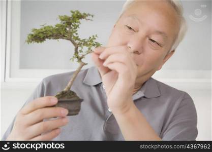 Close-up of a mature man holding a bonsai tree