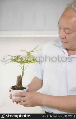 Close-up of a mature man holding a potted plant