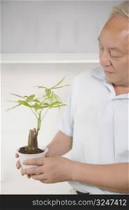 Close-up of a mature man holding a potted plant