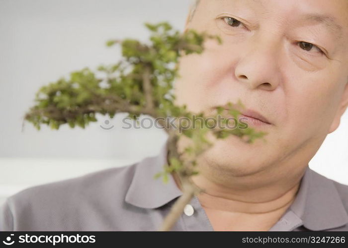 Close-up of a mature man looking at a plant