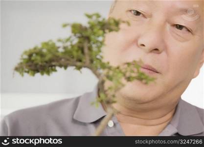 Close-up of a mature man looking at a plant