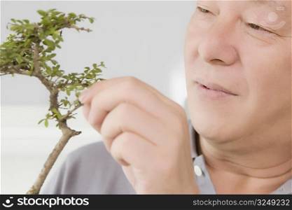 Close-up of a mature man looking at a plant