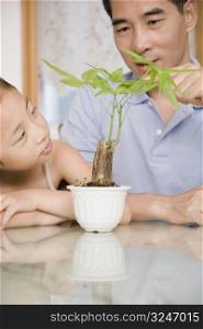 Close-up of a mature man with his daughter looking at a potted plant
