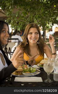 Close-up of a mature woman and a mid adult woman sitting in a restaurant, Santo Domingo, Dominican Republic